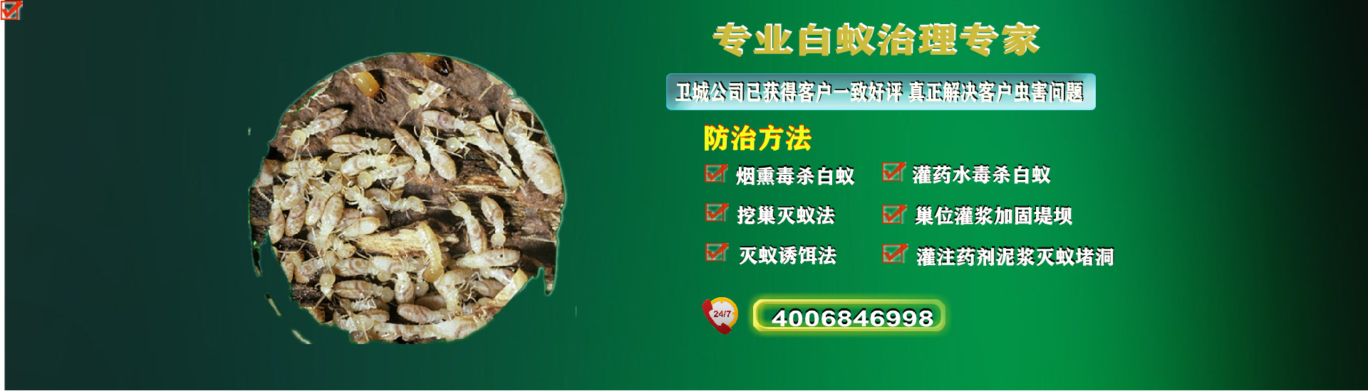 惠州白蟻防治,惠州白蟻防治中心