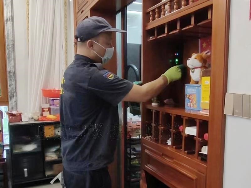 石排古樹白蟻防治_石排白蟻防治所_東莞市衛(wèi)城白蟻害蟲防治有限公司