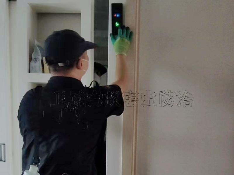 惠州白蟻防治公司，惠州惠城滅白蟻中心（衛(wèi)城蟲控）