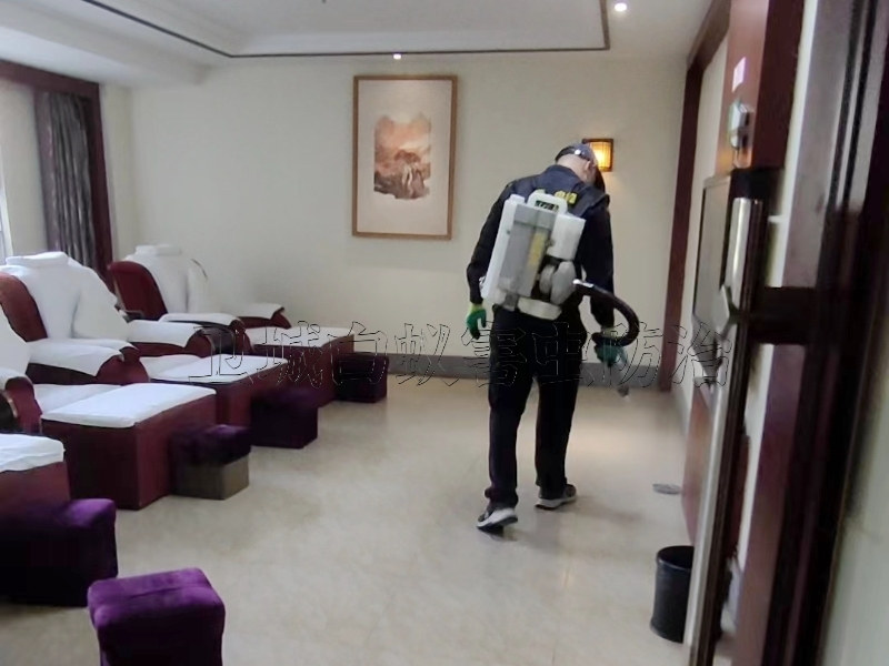 惠州殺蟲公司,惠陽區(qū)工廠宿舍殺臭蟲,惠城區(qū)除四害