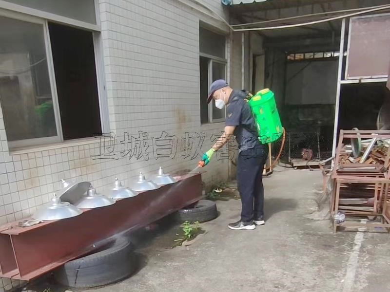 樟木頭臭蟲防治_清溪消殺跳蚤臭蟲公司_東莞樟木頭滅臭蟲