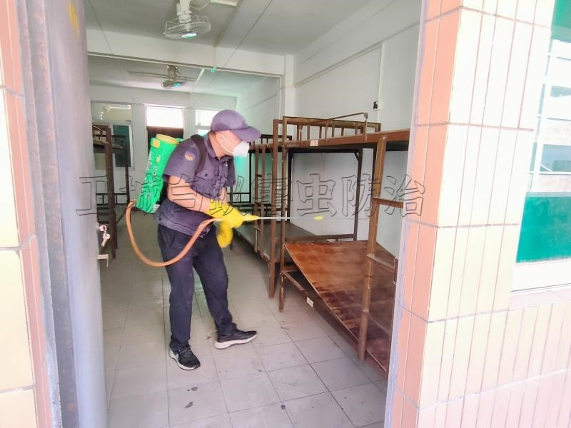 惠州殺臭蟲公司-推薦惠州臭蟲防治專家-工廠宿舍臭蟲跳蚤蟑螂消滅上門服務(wù)