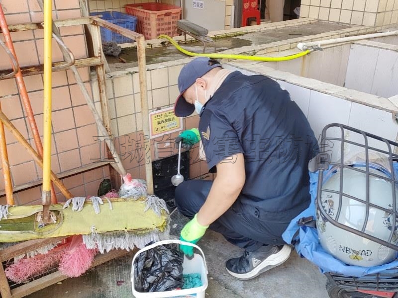惠城陳江滅鼠公司,惠州河南岸小金口工廠滅臭蟲殺蟑螂,惠州殺蟲除四害公司