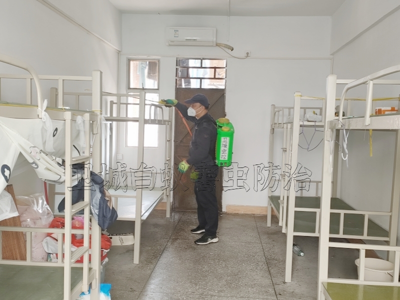 惠州惠陽(yáng)臭蟲(chóng)防治-惠州殺蚊蟲(chóng)預(yù)防登革熱-惠州陳江河南岸橫瀝殺蟲(chóng)滅鼠公司