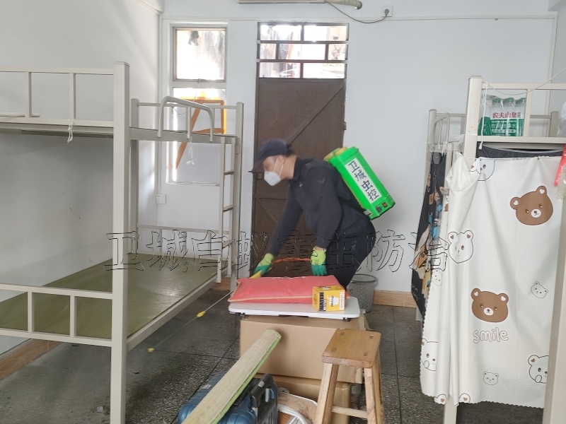 東莞常平臭蟲防治中心-黃江殺蟲公司不二之選 {除四害殺蟲滅鼠服務}東莞除蟲