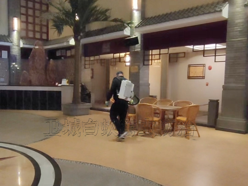 東莞虎門臭蟲防治中心-大嶺山專業(yè)宿舍殺臭蟲跳蚤 {東莞厚街除四害服務}滅白蟻