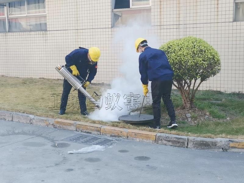 東莞謝崗除四害服務機構單位｛謝崗臭蟲防治服務｝市政推薦謝崗鎮(zhèn)殺蟲公司