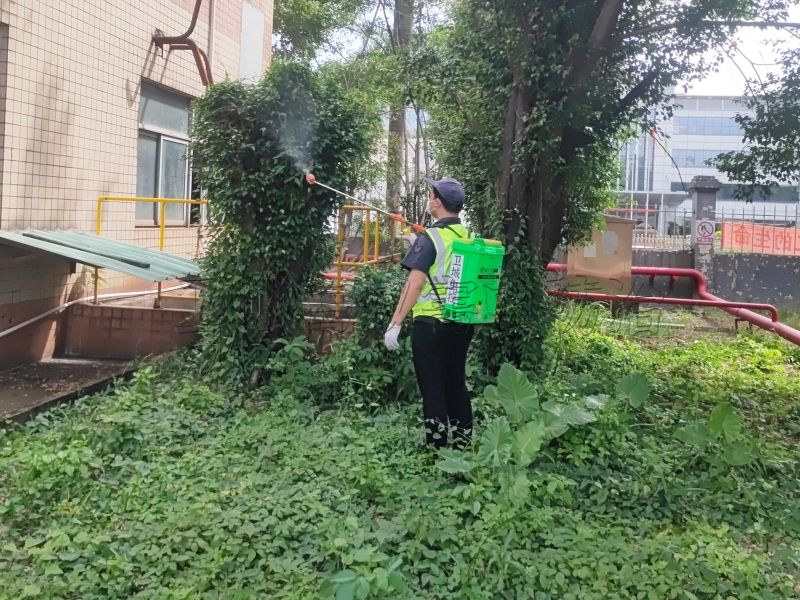 惠州市惠陽區(qū)大亞灣澳頭白蟻防治中心 - 白蟻侵蝕木質(zhì)家具表面影響美觀度