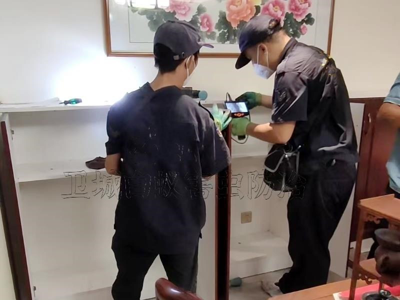 惠州市惠東縣平海白蟻防治中心 - 白蟻成群結(jié)隊啃食農(nóng)作物的根系