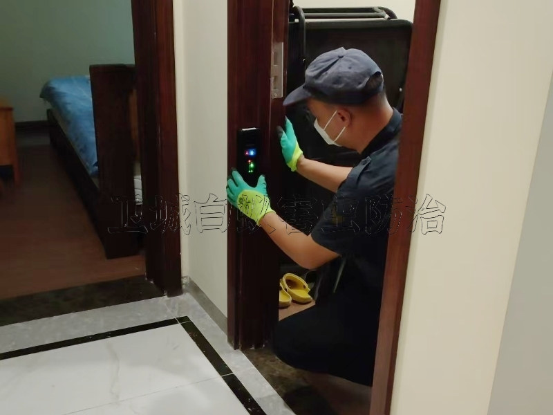 汕頭白蟻防治中心_汕頭滅白蟻您的首要選擇_汕頭白蟻防治研究所