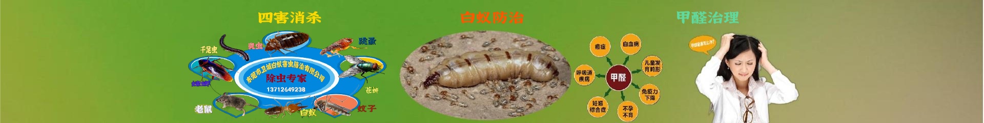 惠城區(qū)白蟻防治