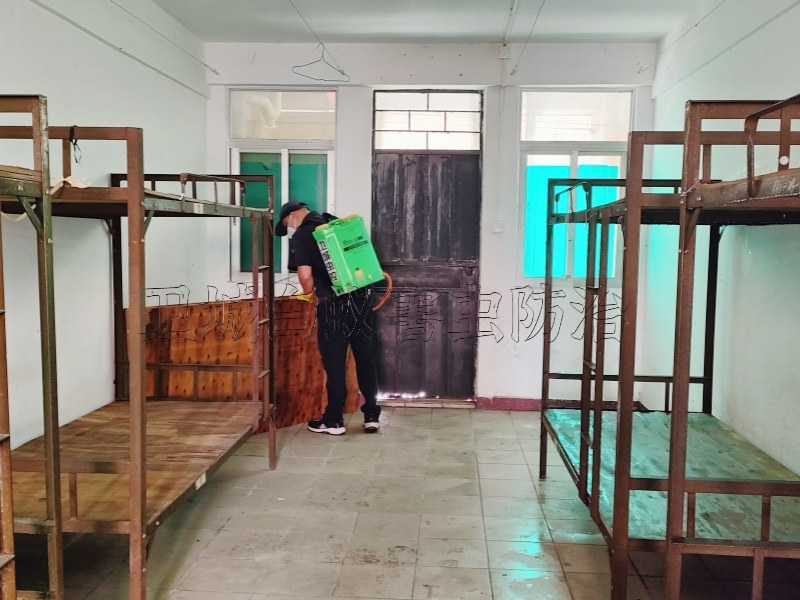 惠州專業(yè)工廠滅鼠公司