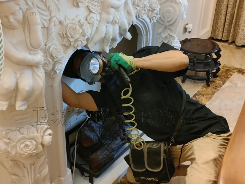 東莞長(zhǎng)安滅除白蟻公司，長(zhǎng)安除四害殺蟲，長(zhǎng)安滅鼠
