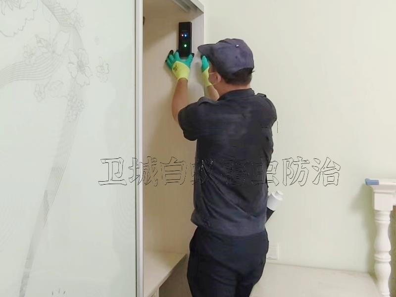 惠陽白蟻防治中心,惠州惠陽淡水家居白蟻滅治案例