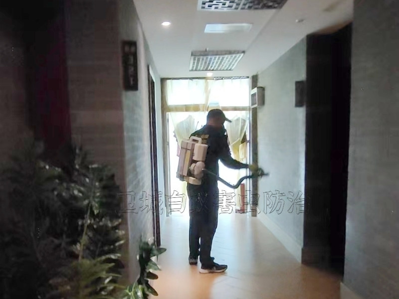 惠州滅臭蟲公司,專業(yè)惠州殺臭蟲,宿舍床鋪上吸血臭蟲防治