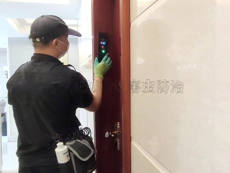 惠州白蟻防治中心-我市正處于白蟻出入的季節(jié)，自察你家有沒有中招？