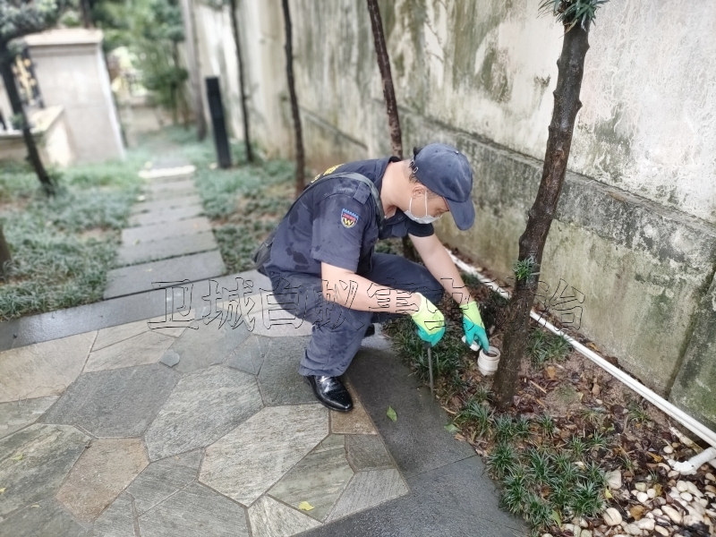 荔灣海龍白蟻防治所_海龍白蟻防治清除滅治白蟻專業(yè)快速效率好