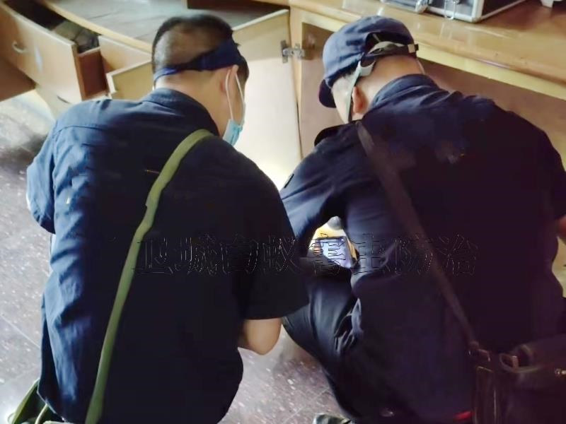 大亞灣白蟻防治|信譽(yù)保證大亞灣滅白蟻公司