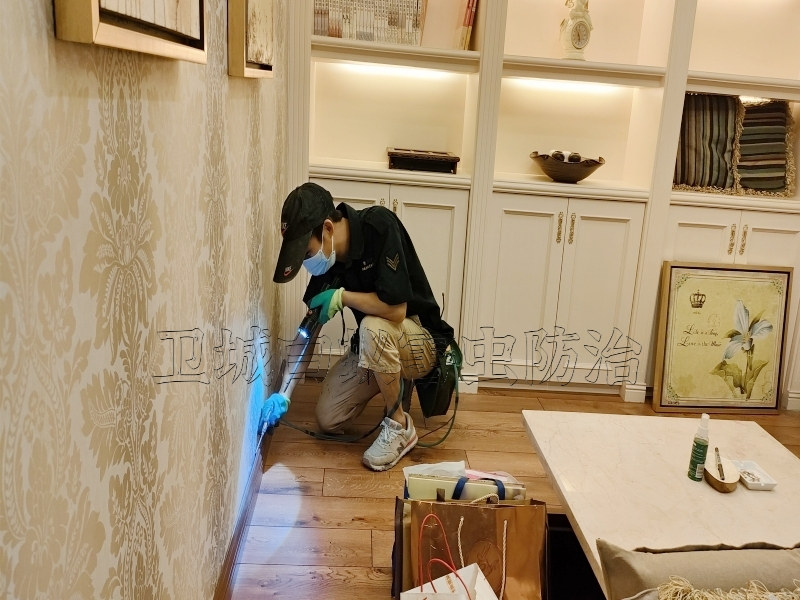 惠州橫瀝白蟻防治_白蟻對(duì)埋地電纜和交通設(shè)施的危害