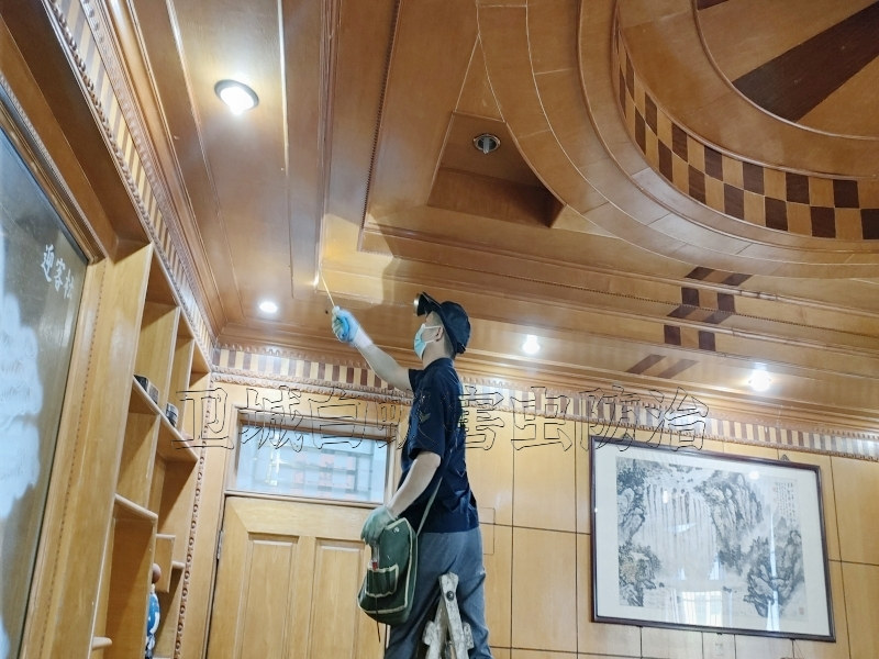 朱村白蟻防治殺滅白蟻【資質(zhì)認證企業(yè)推薦】_增城朱村滅白蟻公司