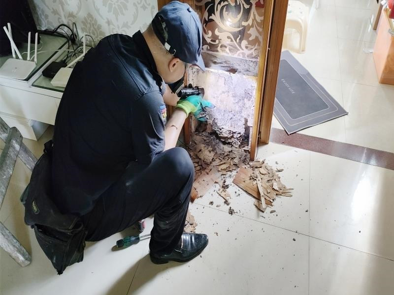 仙村鎮(zhèn)白蟻防治丨增城仙村白蟻防治徹底治根丨增城滅白蟻