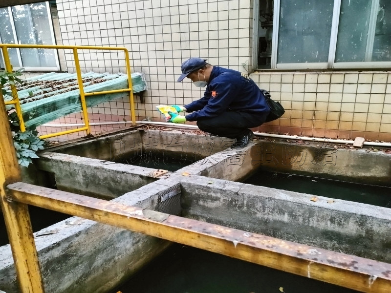 荔灣區(qū)白蟻防治,廣州荔灣白蟻防治,荔灣滅殺白蟻