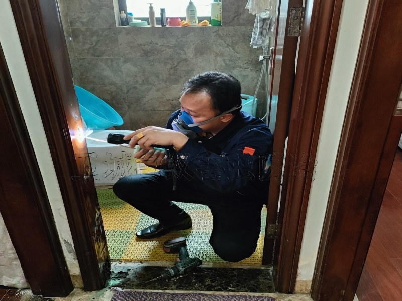 白鶴洞白蟻防治,專業(yè)荔灣區(qū)滅殺螞蟻白蟻,白鶴洞白蟻防治公司