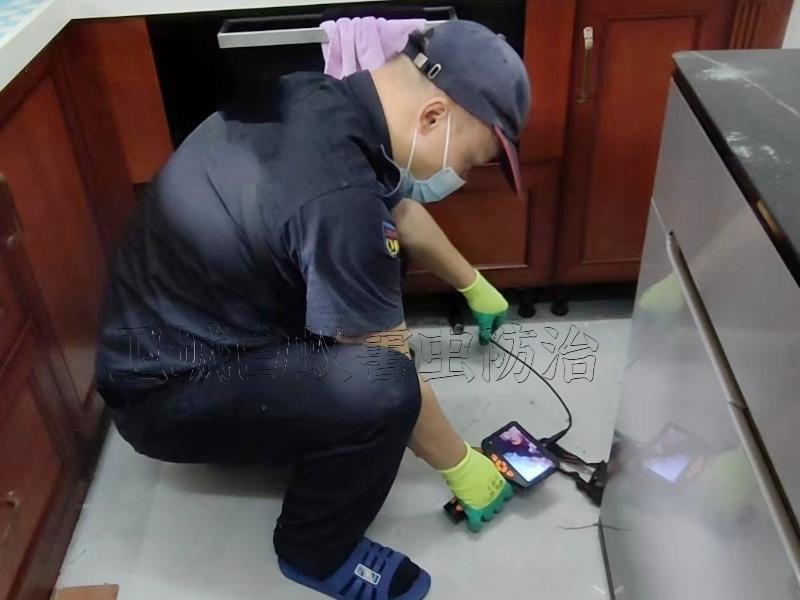 荔灣東沙白蟻防治_廣州東沙白蟻防治殺白蟻優(yōu)質高效專業(yè)