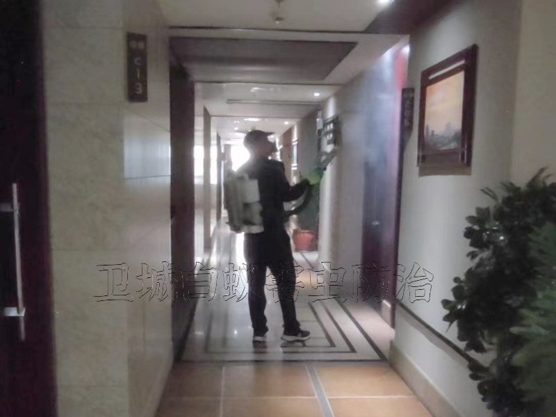 東莞塘廈殺臭蟲_鳳崗臭蟲防治_塘廈滅臭蟲公司徹底根治跳蚤