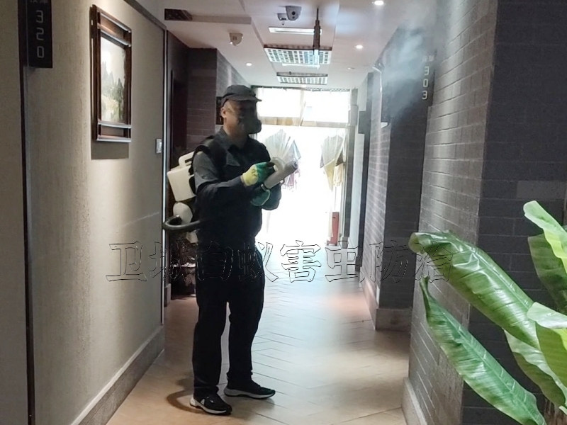 惠城汝湖宿舍滅臭蟲(chóng)_汝湖殺臭蟲(chóng)公司_惠州汝湖臭蟲(chóng)防治消殺徹底