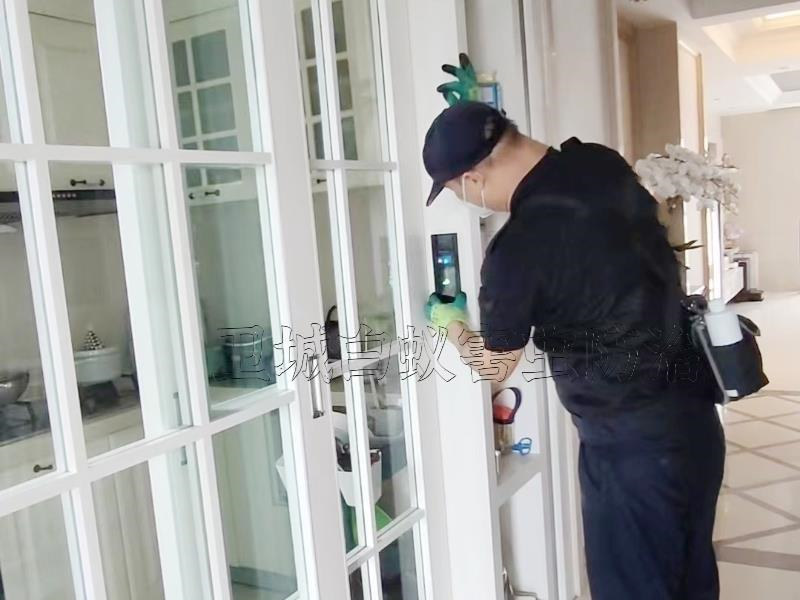 惠州白蟻防治所-惠州白蟻防治站-惠州白蟻防治中心
