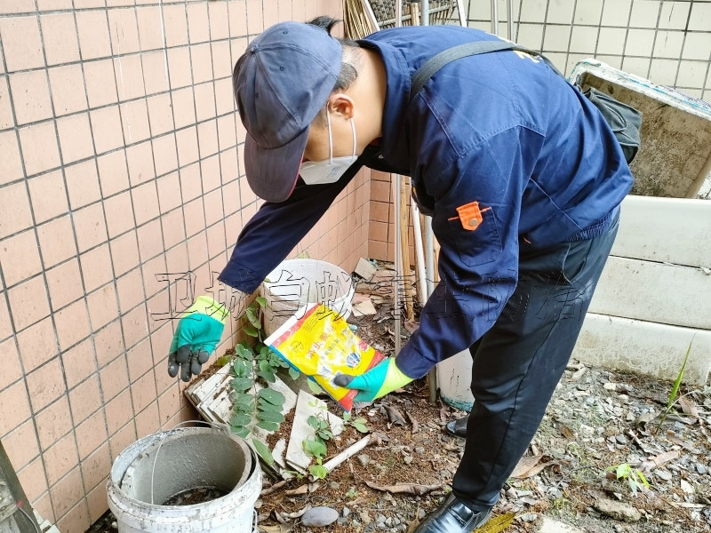 虎門殺臭蟲除蟲方法-東莞市衛(wèi)城白蟻害蟲防治有限公司
