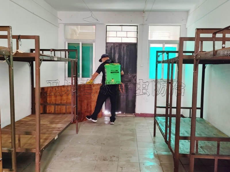 常平殺臭蟲公司,大朗滅跳蚤-東莞市衛(wèi)城白蟻害蟲防治有限公司